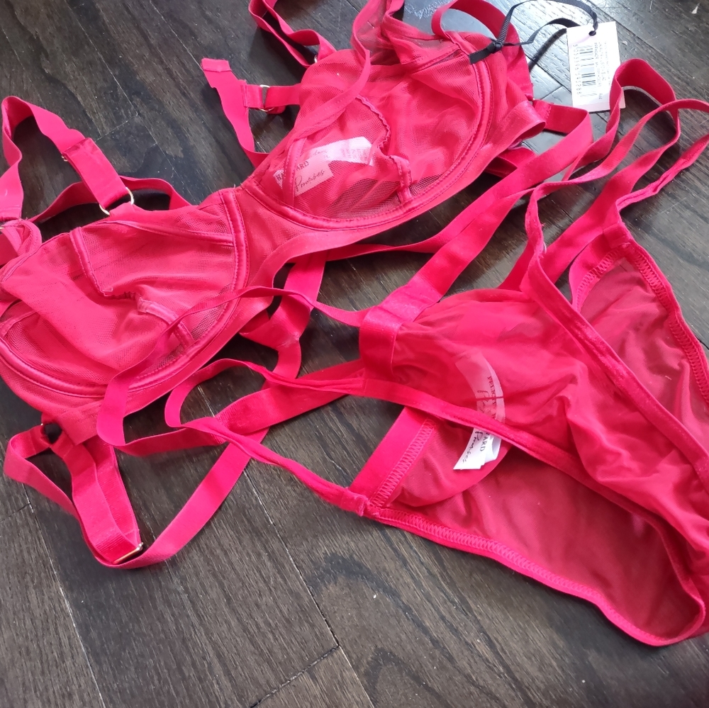 Felicity haward x pp harness bra and panty set.